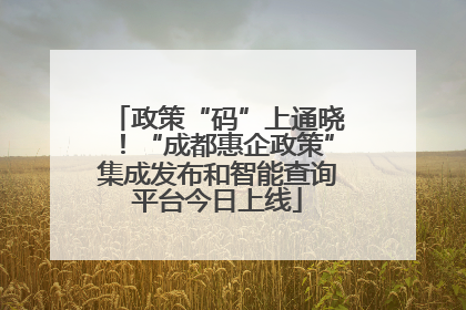政策“码”上通晓！“成都惠企政策”集成发布和智能查询平台今日上线