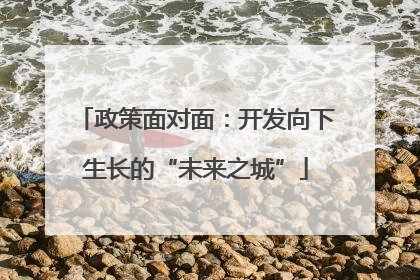 政策面对面：开发向下生长的“未来之城”