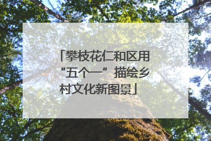 攀枝花仁和区用“五个一”描绘乡村文化新图景