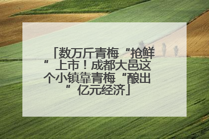 数万斤青梅“抢鲜”上市！成都大邑这个小镇靠青梅“酿出”亿元经济