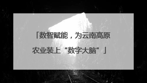 数智赋能，为云南高原农业装上“数字大脑”