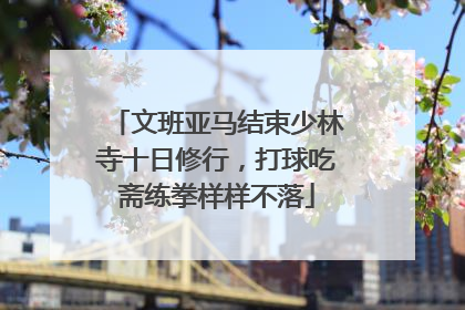 文班亚马结束少林寺十日修行，打球吃斋练拳样样不落