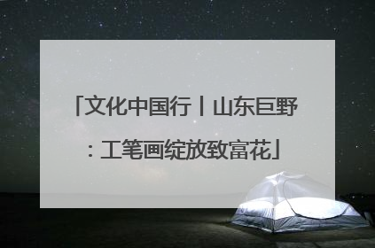 文化中国行丨山东巨野：工笔画绽放致富花