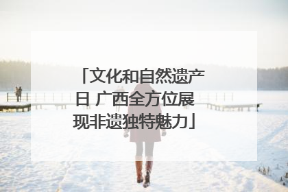 文化和自然遗产日 广西全方位展现非遗独特魅力