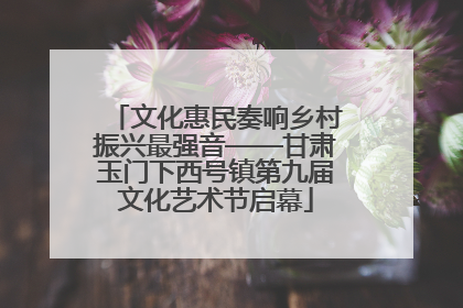 文化惠民奏响乡村振兴最强音——甘肃玉门下西号镇第九届文化艺术节启幕