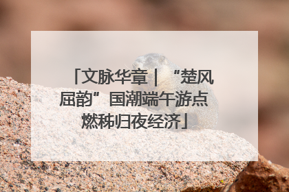 文脉华章｜“楚风屈韵”国潮端午游点燃秭归夜经济