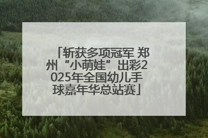 斩获多项冠军 郑州“小萌娃”出彩2025年全国幼儿手球嘉年华总站赛