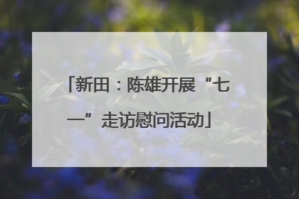 新田：陈雄开展“七一”走访慰问活动