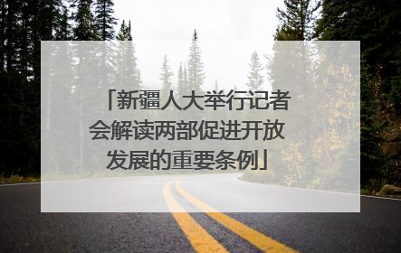 新疆人大举行记者会解读两部促进开放发展的重要条例