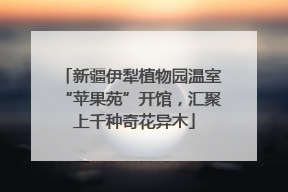 新疆伊犁植物园温室“苹果苑”开馆，汇聚上千种奇花异木