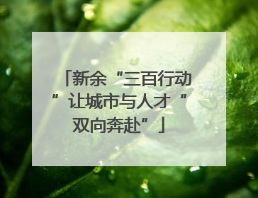 新余“三百行动”让城市与人才“双向奔赴”
