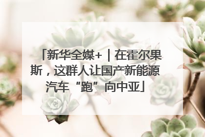新华全媒+｜在霍尔果斯，这群人让国产新能源汽车“跑”向中亚