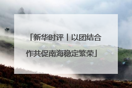 新华时评丨以团结合作共促南海稳定繁荣
