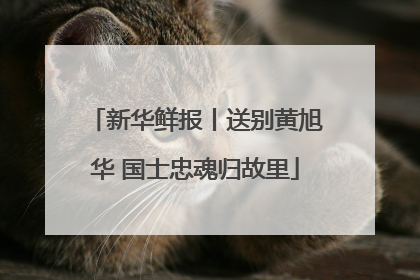 新华鲜报丨送别黄旭华 国士忠魂归故里