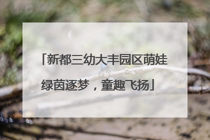 新都三幼大丰园区萌娃绿茵逐梦，童趣飞扬