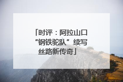 时评：阿拉山口“钢铁驼队”续写丝路新传奇