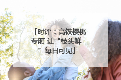 时评：高铁樱桃专厢 让“枝头鲜”每日可见