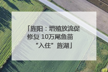 旌阳：增殖放流促修复 10万尾鱼苗“入住”旌湖