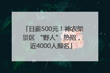 日薪500元！神农架景区 “野人” 热招，近4000人报名