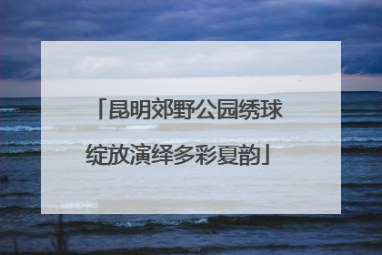 昆明郊野公园绣球绽放演绎多彩夏韵