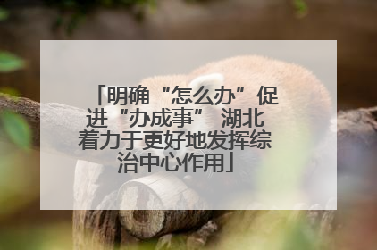 明确“怎么办”促进“办成事” 湖北着力于更好地发挥综治中心作用