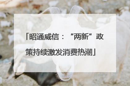 昭通威信：“两新”政策持续激发消费热潮