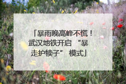 暴雨晚高峰不慌！武汉地铁开启 “暴走护犊子” 模式