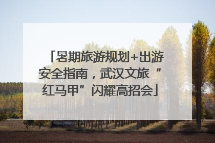 暑期旅游规划+出游安全指南，武汉文旅“红马甲”闪耀高招会