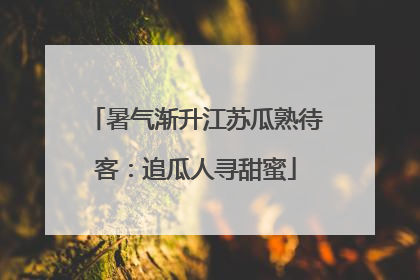 暑气渐升江苏瓜熟待客：追瓜人寻甜蜜