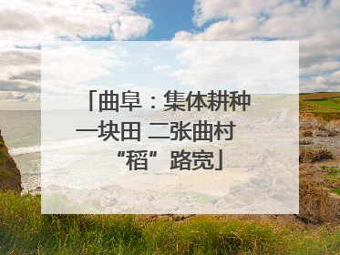 曲阜：集体耕种一块田 二张曲村“稻”路宽