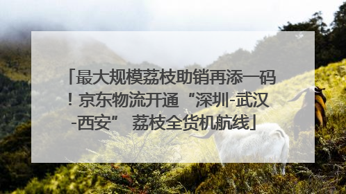 最大规模荔枝助销再添一码！京东物流开通“深圳-武汉-西安” 荔枝全货机航线
