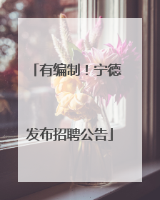 有编制！宁德发布招聘公告