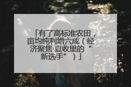 有了高标准农田，亩均纯利增六成（经济聚焦·夏收里的“新选手”）