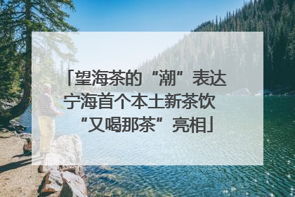 望海茶的“潮”表达 宁海首个本土新茶饮“又喝那茶”亮相