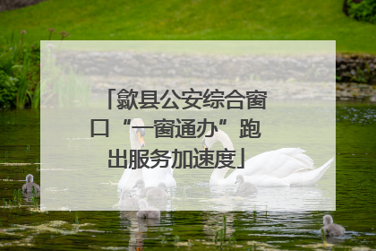 歙县公安综合窗口“一窗通办”跑出服务加速度