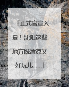 正式官宣入夏！沈阳这些地方既清凉又好玩儿……