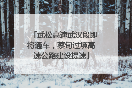 武松高速武汉段即将通车，蔡甸过境高速公路建设提速