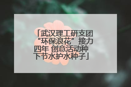武汉理工研支团“环保浪花”接力四年 创意活动种下节水护水种子