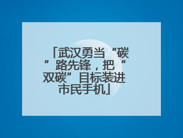 武汉勇当“碳”路先锋，把“双碳”目标装进市民手机