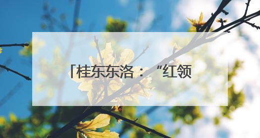桂东东洛：“红领雁”领航百业兴