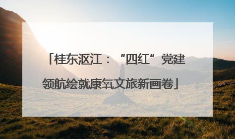 桂东沤江：“四红”党建领航绘就康氧文旅新画卷