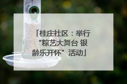 桂庄社区：举行“粽艺大舞台 银龄乐开怀”活动
