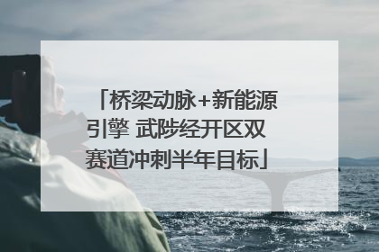 桥梁动脉+新能源引擎 武陟经开区双赛道冲刺半年目标