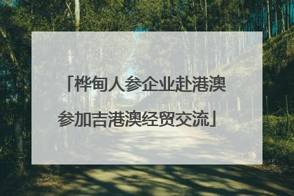 桦甸人参企业赴港澳参加吉港澳经贸交流