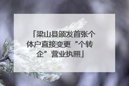 梁山县颁发首张个体户直接变更“个转企”营业执照
