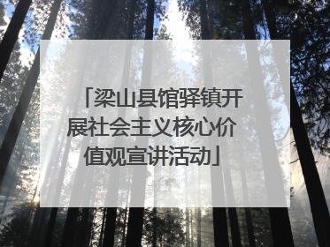 梁山县馆驿镇开展社会主义核心价值观宣讲活动