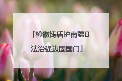 检徽铸盾护南疆 法治强边固国门