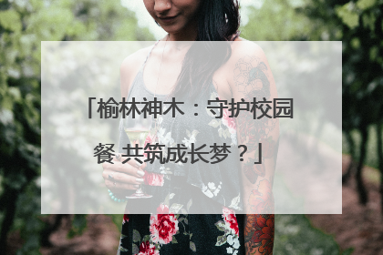 榆林神木：守护校园餐 共筑成长梦？