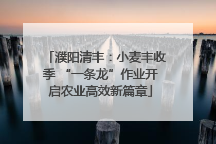 濮阳清丰：小麦丰收季 “一条龙”作业开启农业高效新篇章