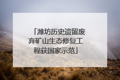 潍坊历史遗留废弃矿山生态修复工程获国家示范